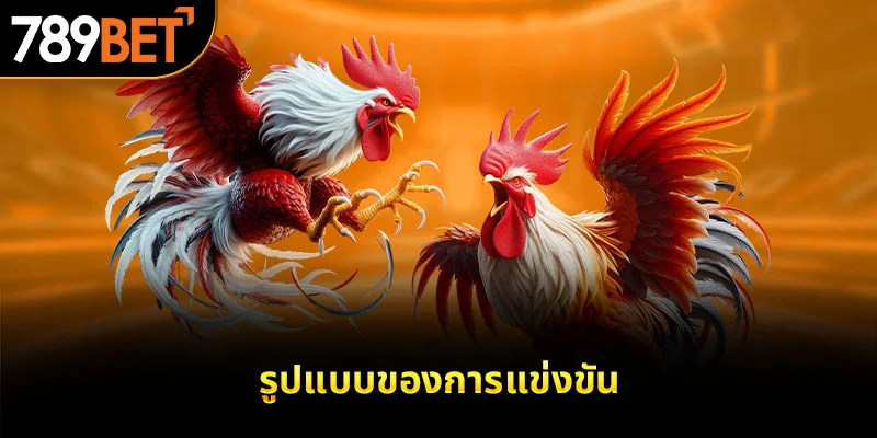 รูปแบบของการแข่งขัน