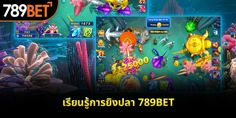 เรียนรู้การยิงปลา 789bet